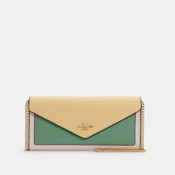 Slim Envelope Wallet With Chain in Colorblock