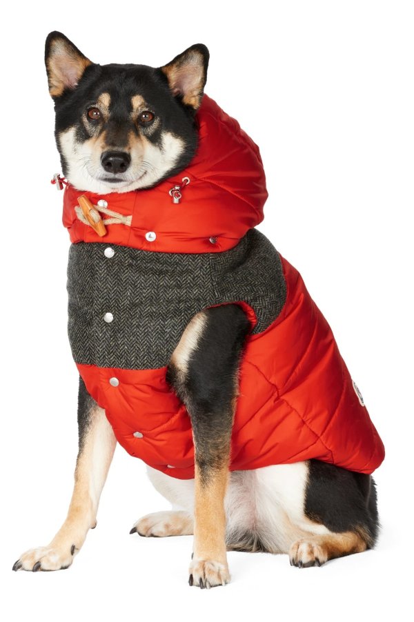 Red Poldo Dog Couture Edition Mondog Vest