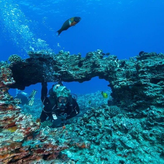 水肺潜水 游沉船和珊瑚礁