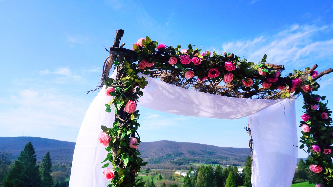 #美帝结婚心得# 如何在美帝大农村DIY一个小型婚礼