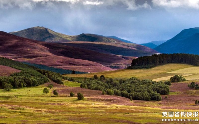cairngorms-iStock-918509406
