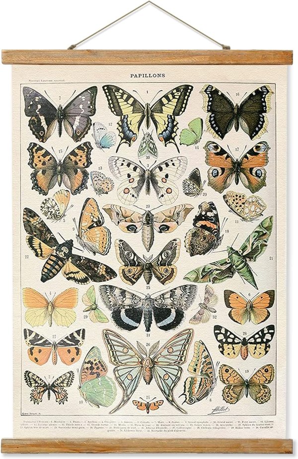 Ovfovy Vintage Butterflies Poster