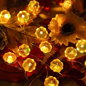 Huttoly Pumpkin String Lights, Fall Decorations Halloween Decorations