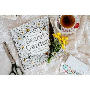 Secret Garden 秘密花园涂色本