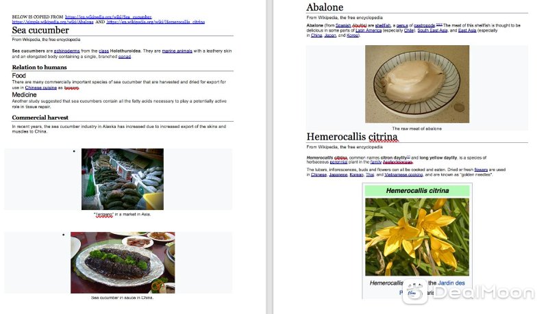 Screen Shot 2020-12-30 at 12.40.11.png