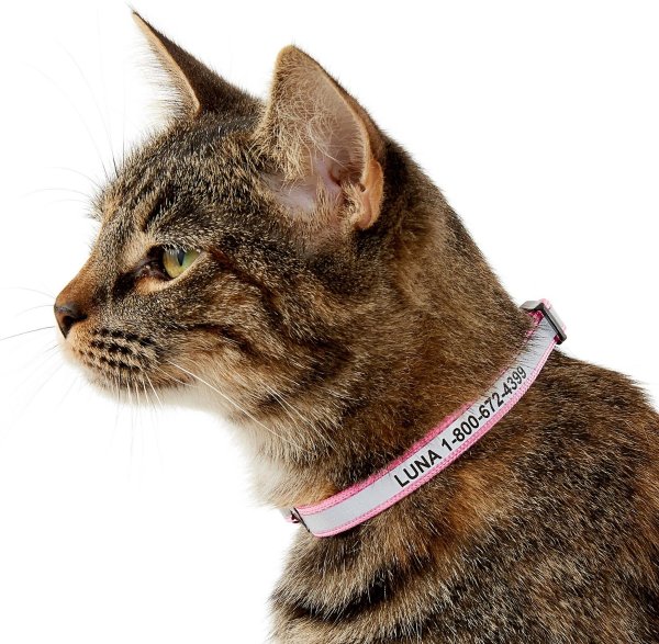 GoTags Personalized Reflective Nylon Breakaway Cat Collar, Pink - Chewy.com