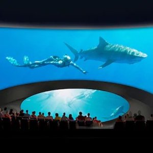 洛杉矶 Aquarium of the Pacific 太平洋水族馆门票