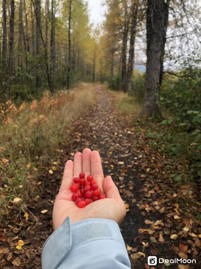 ��ͼƬ_20191012223913.jpg