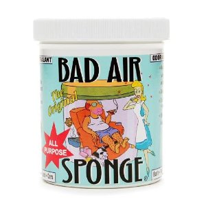 Bad Air Sponge 除臭海绵