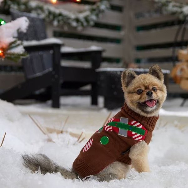Tacky Holiday CHEWBACCA Dog & Cat Sweater