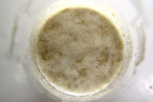 20100916-starter-thumb-500x333-112039.jpg