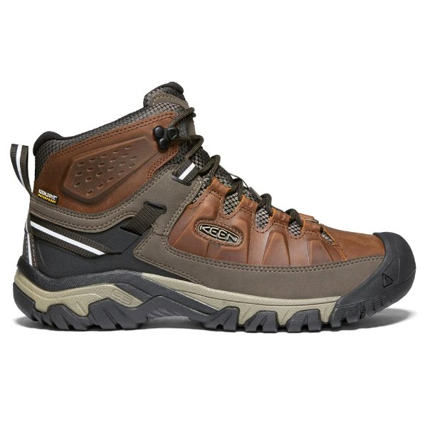 Targhee III Waterproof Hiking Boots