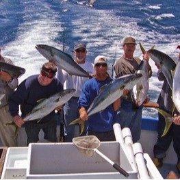 Adult or Junior Deep Sea Fishing Trip with Meal Option at Freelance Ocean Tours (Up to 63% Off)