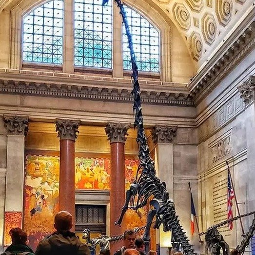 NYC Kid & Families American Museum of Natural History Private Tour