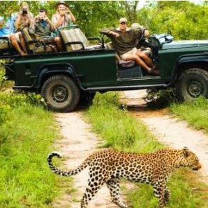 South Africa: 8-Night Tour w/Air, Game Drives & More