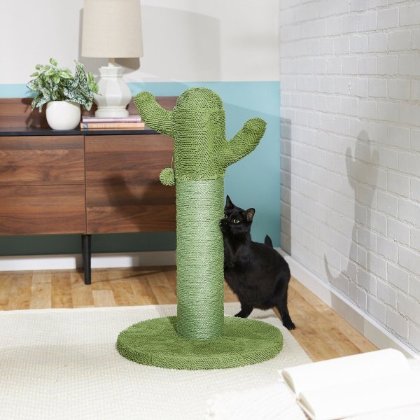 Cactus Cat Scratching Post, 22-in - Chewy.com