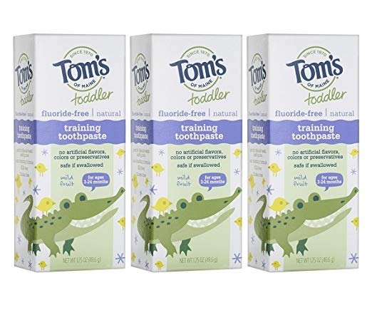 Toddlers Fluoride-Free Natural Toothpaste in Gel, Mild Fruit, 1.75 Ounce, 3 Count