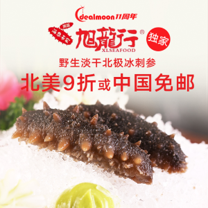 11th Anniversary Exclusive: XLSeafood Seacucumber Limited Offer