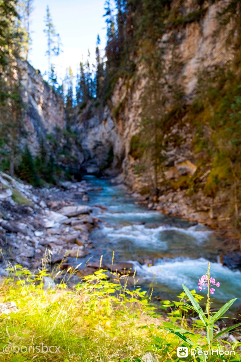 johnson_canyon.jpg