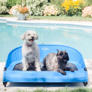 Petco Cooling Dog Beds and Pads on Sale
