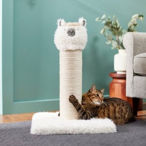 Chewy select sleep & scratch cat furniture on sale