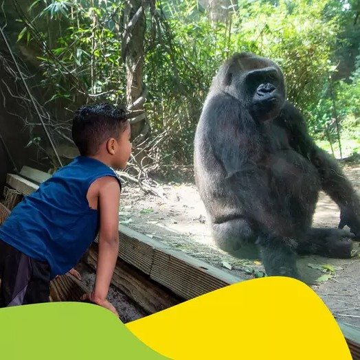 Admission for One Child or Adult to Bronx Zoo (Up to 10% Off)