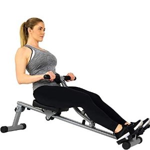 Sunny Health & Fitness SF-RW1205 12 Adjustable Resistance Rowing