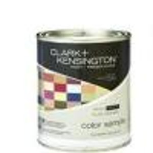 Quart of Clark+Kensington paint