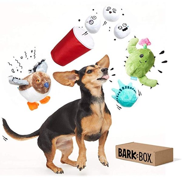 Best of Box Plush Toy Bundle for Small, Medium, and Large Dogs, 2-in-1 Squeak and Chew Toys for Long-Lasting Playtime - Great Gift!