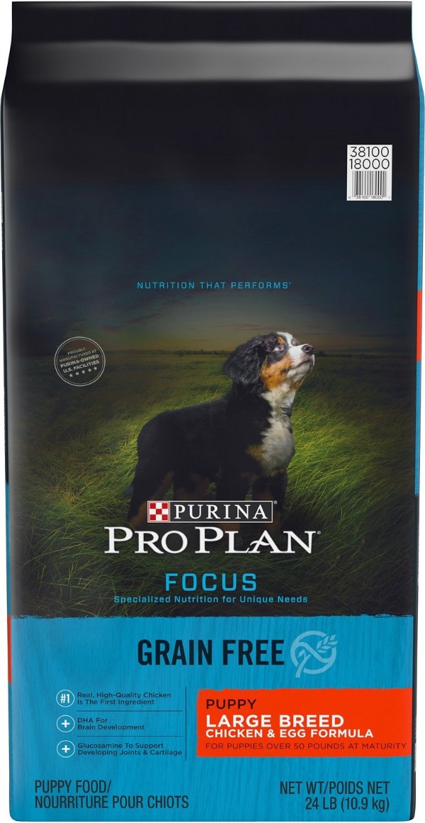Pro Plan Focus Puppy Large Breed Chicken & Egg Formula Grain-Free Dry Dog Food, 24-lb bag - Chewy.com