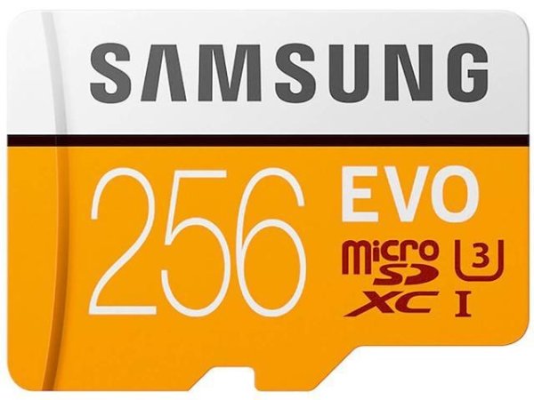 EVO 256GB microSDXC Flash Card + Adapter Model MB-MP256HA/AM - Newegg.com