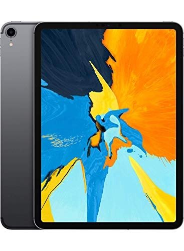 iPad Pro (11-inch, Wi-Fi + Cellular, 256GB) - Space Gray (Latest Model)