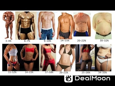 bodyfat real.jpg