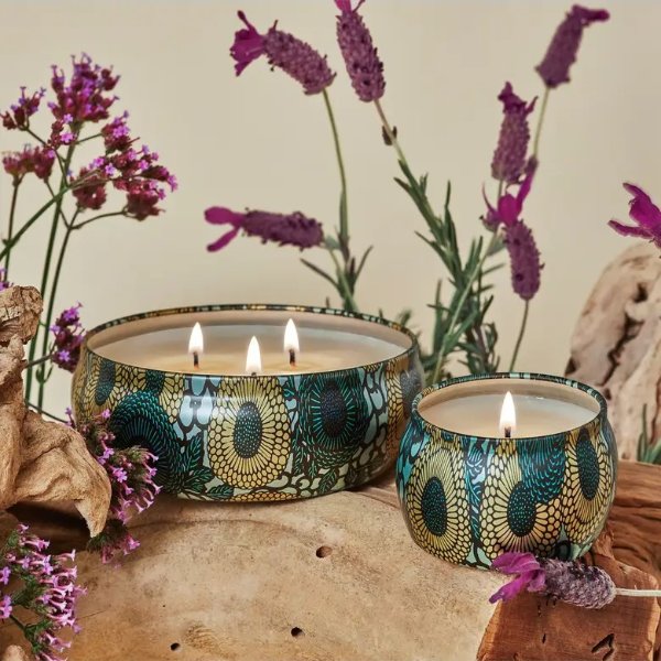 French Cade & Lavender 3-Wick Candle