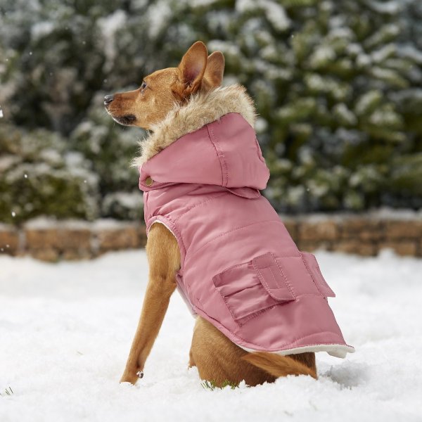 Portland Insulated Dog & Cat Parka, Dusty Pink, X-Small - Chewy.com