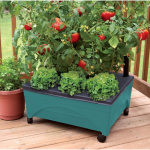 Patio Raised Garden Bed Grow Box Kit with Watering System and Casters in Terra Cotta