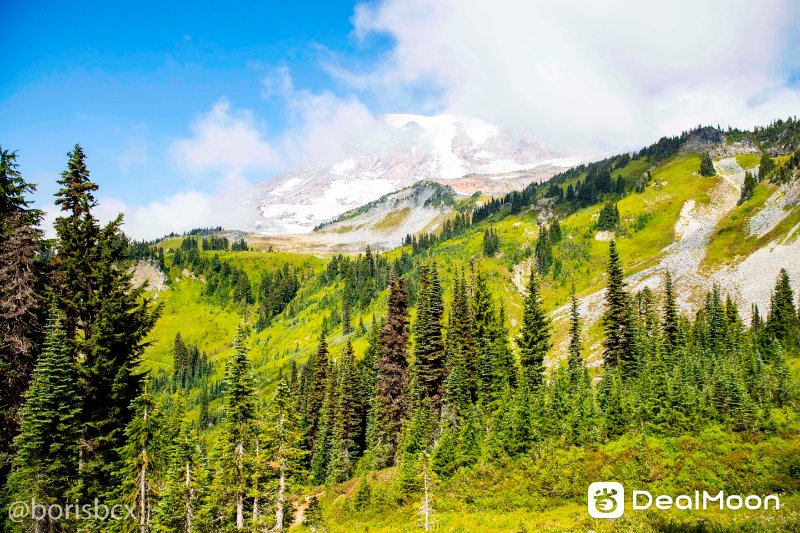 rainier_7.jpg