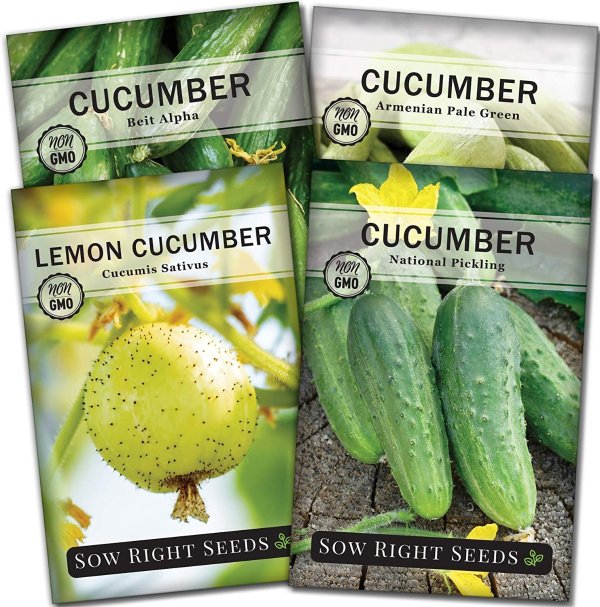 Right Seeds - Cucumber Seed Collection for Planting - Armenian, Pickling, Lemon, Beit Alpha Variety Pack, Non-GMO Heirloom Seeds to Plant and Grow a Home Vegetable Garden, Great Gardening Gift