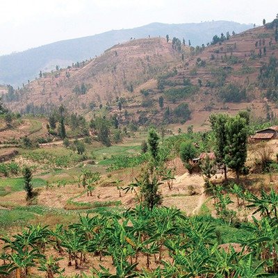 卢旺达Nyanza Iwacu咖啡豆 6oz