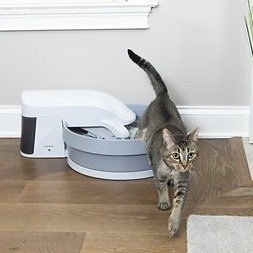 Simply Clean Self-Cleaning Litter Box - Chewy.com