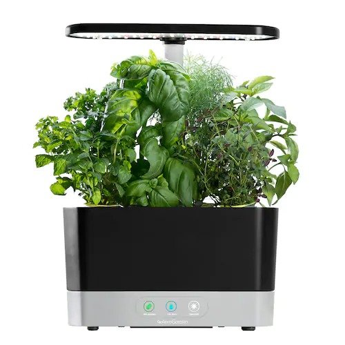 Harvest with Gourmet Herb Seed Pod Kit