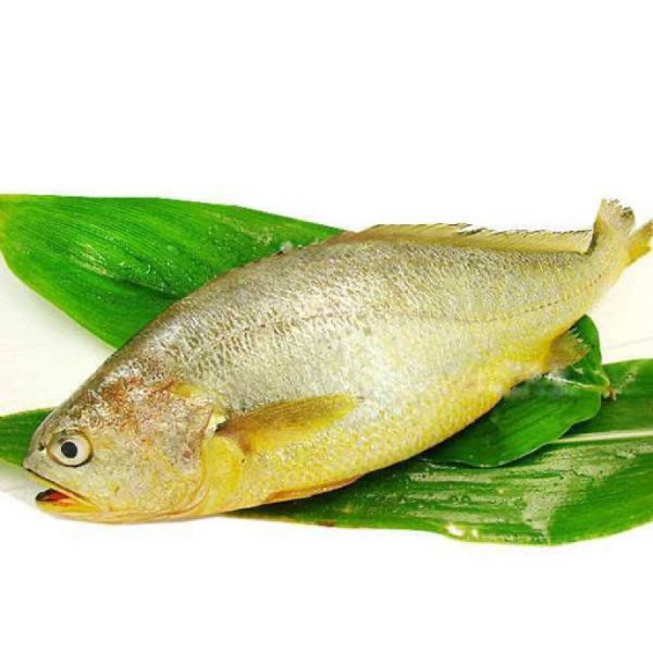 超鲜大黄花鱼 2条/包 1.6-2磅