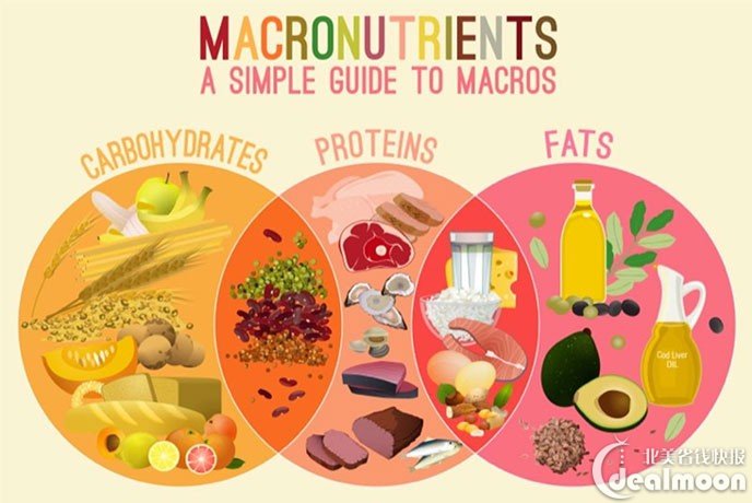 macronutrients-featured