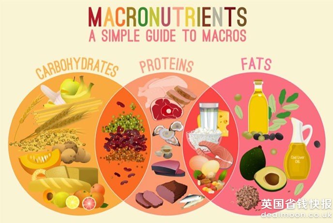 macronutrients-featured