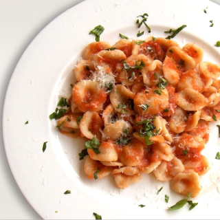 Carlo’s Cucina Italiana - 波士顿 - Allston