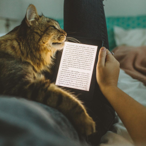 全新第十代 Kindle Paperwhite 阅读器情人节限时特卖