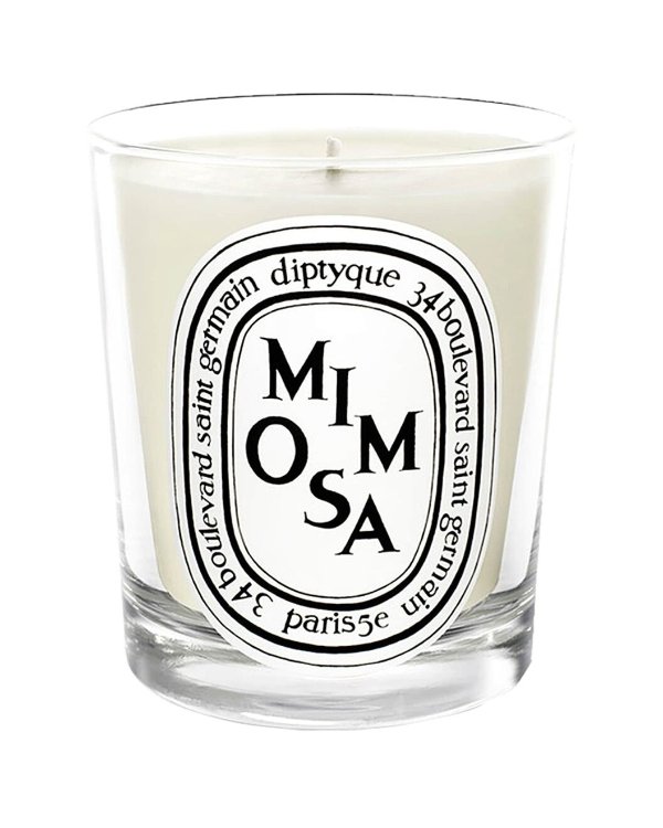 Mimosa Scented Candle / Gilt
