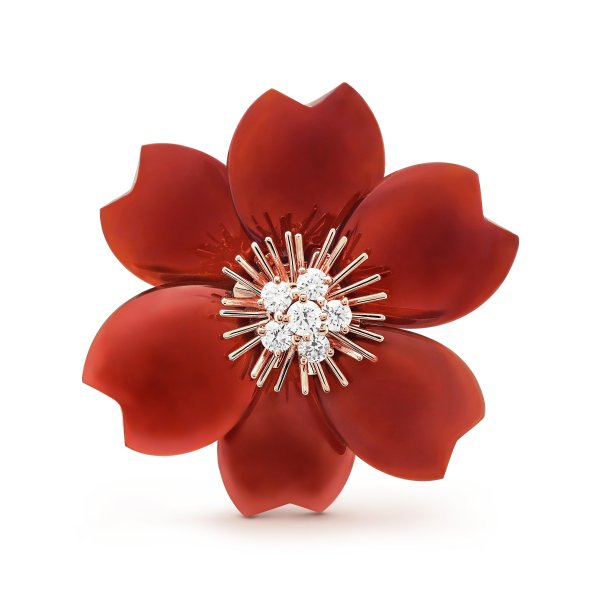 Rose de Noel clip, medium model 18K rose gold, Carnelian, Diamond