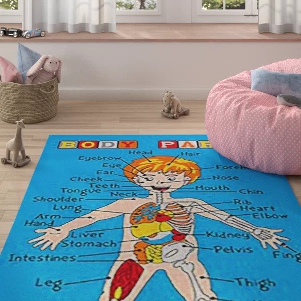 人体器官学习趣味地毯