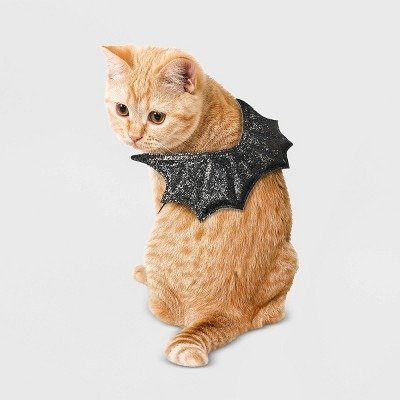 Halloween Black Glitter Wings Cat Costume - Hyde & EEK! Boutique™
